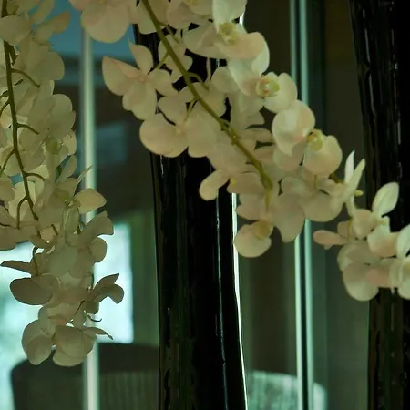 图里姆阿拉米达酒店 4*