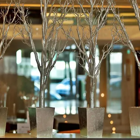 图里姆阿拉米达酒店 酒店